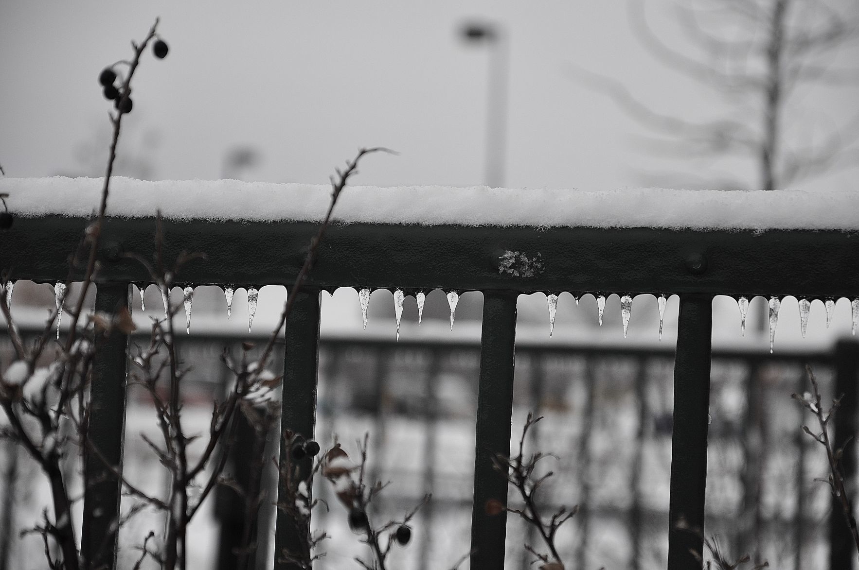 The Jagged Teeth of Winter
